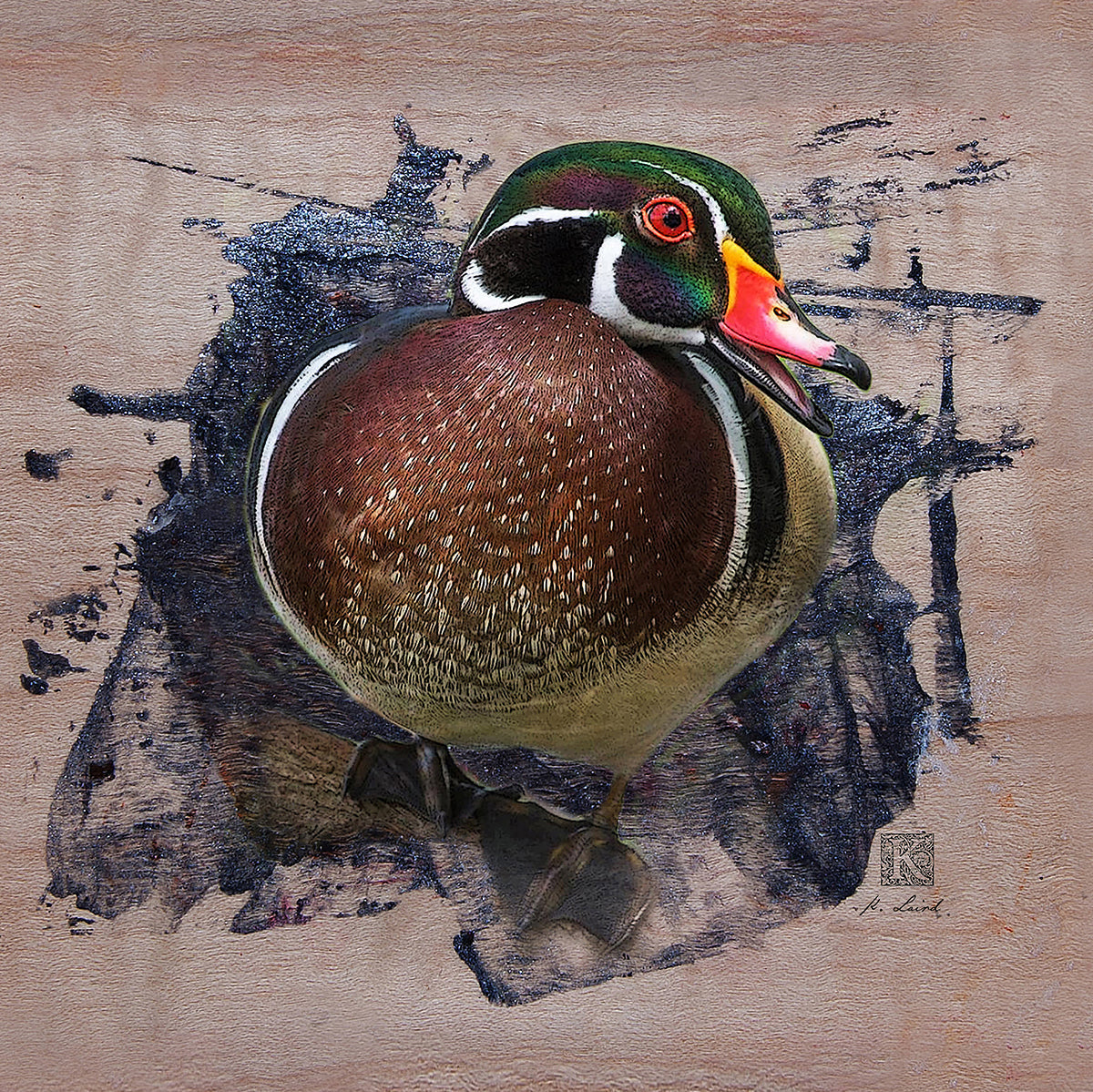 Kenneth Laird Collection Wood Duck - Duck Call - Slammer Series