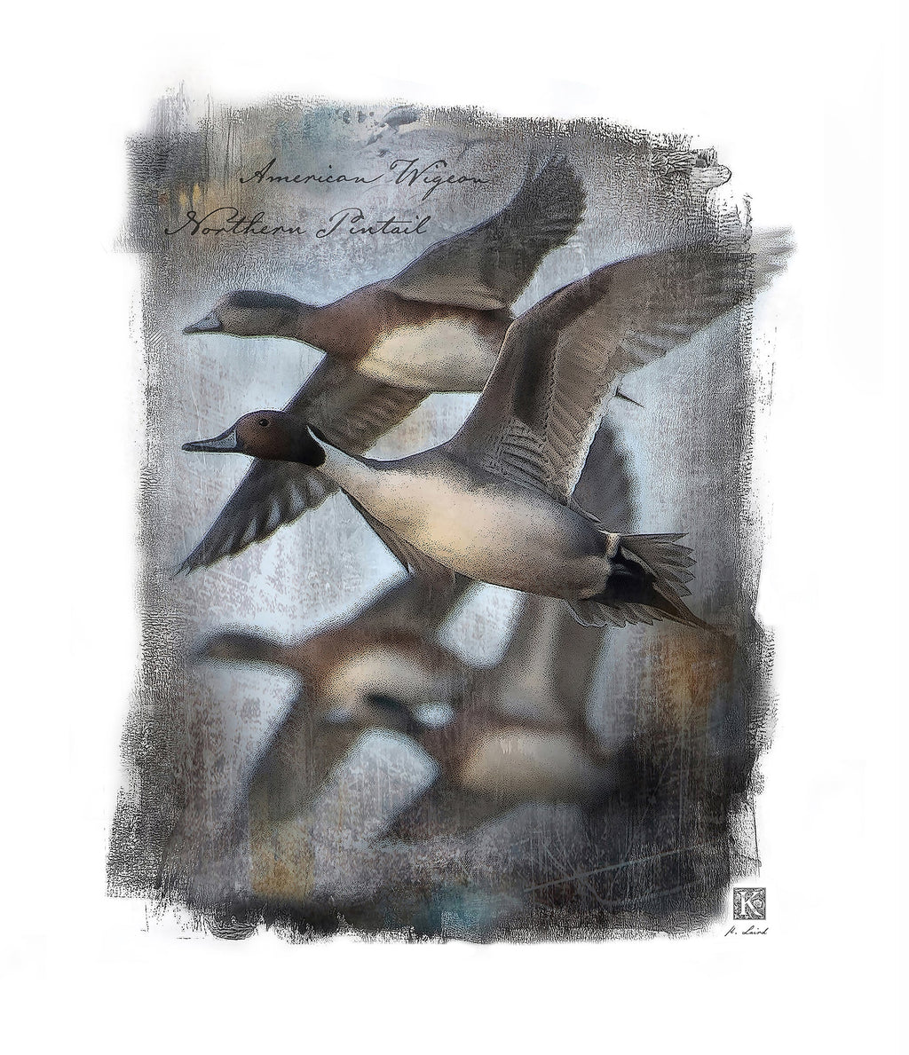 Kenneth Laird Studios Pintail/Widgeon Duck Call - Slammer Series