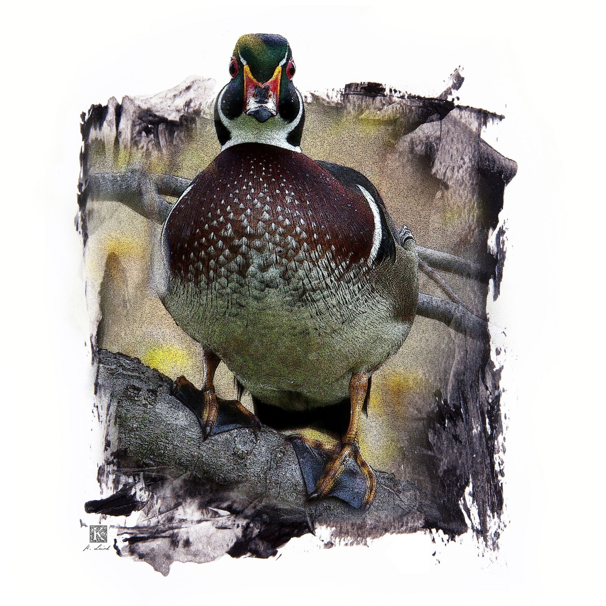 Kenneth Laird Collection Wood Duck White Background Duck Call - Slammer Series